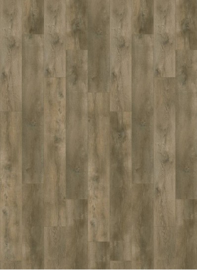 Nevada 6001 (dryback) Valley Oak Pepper