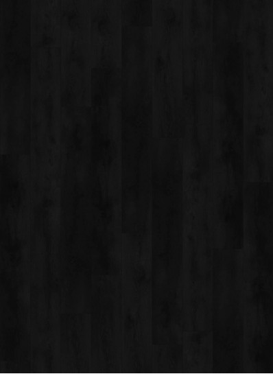 Nevada 6003 (dryback) Valley Oak Charcoal