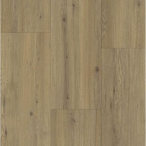 Gelmae 13608 Disentis Oak