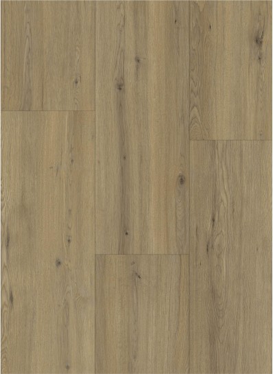 Gelmae 13608 Disentis Oak