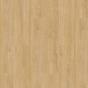 Oakland 6102 (dryback) Desert