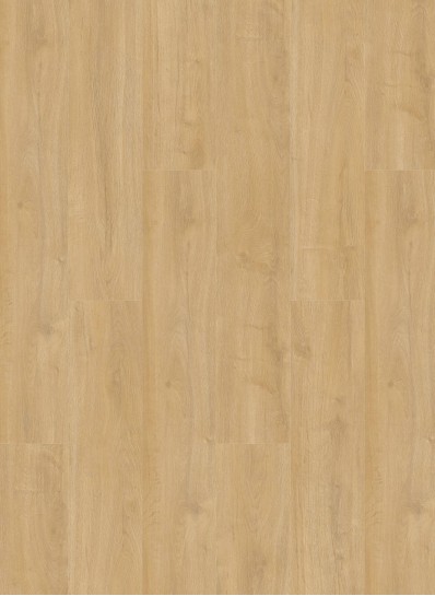 Oakland 6102 (dryback) Desert