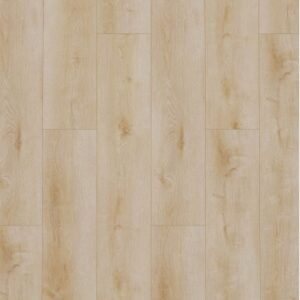 Dynamic 2500 (dryback) Natural light