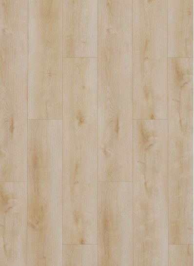 Dynamic 2500 (dryback) Natural light