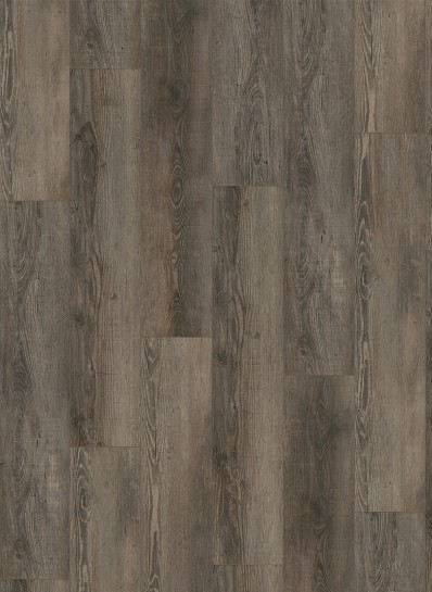 City 5605 Olympia Pine Brown